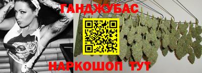 индика Гусиноозёрск