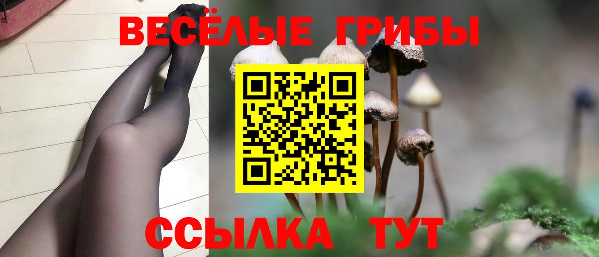 Псилоцибиновые грибы Magic Shrooms  Вход с VPN  закладка  Новошахтинск  Псилоцибиновые грибы Psilocybe 